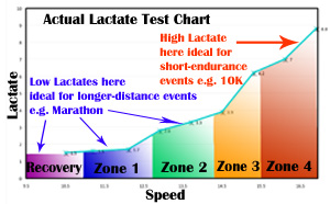 Actual Lactate Testing Chart